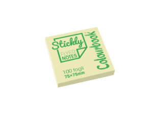 Stickly Flyer Notes - 75×75