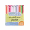 Set 10 penne Cancellotte +2 in omaggio inchiostro blu e rosso set 10 penne roller cancellabili Cancellotta +2 omaggio - 2 inchiostri