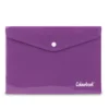 VIOLA FRONTE