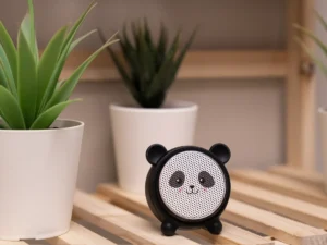 Casse Bluetooth