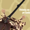 INFOGRAFICA PETTORINA