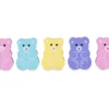5-gomme-da-cancellare-coccolotti