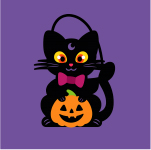 Gatto nero