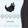 album-10-fogli-neri-infografica